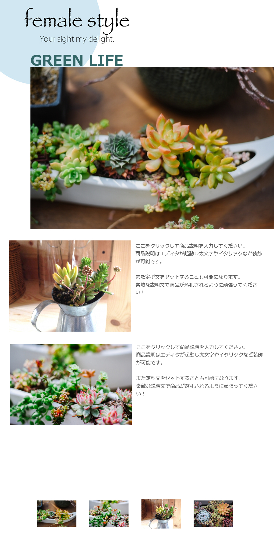 16.多肉植物
